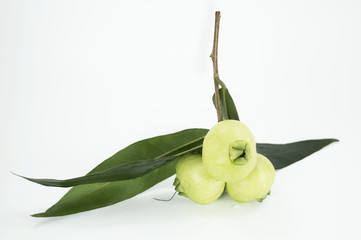 Syzygium jambos or rose apple isolated on white background