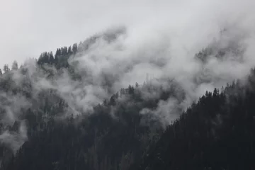 Foto op Canvas foggy clouds rising from dark alpine mountain forest © Björn