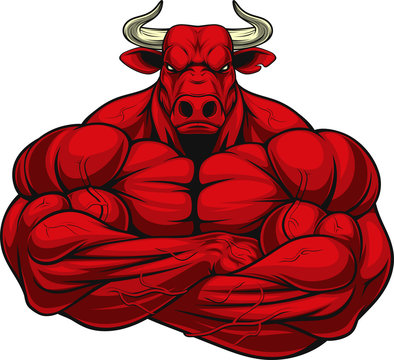 Strong ferocious bull