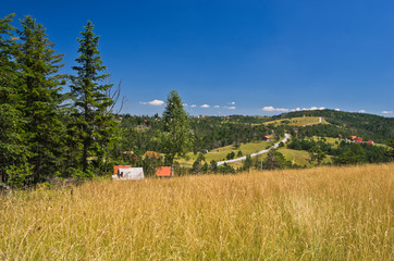 Landscape of Divcibare mountain, west Serbia