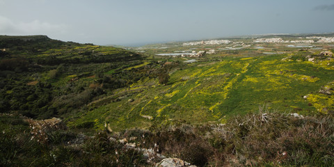 Punic necropolis and tombs
