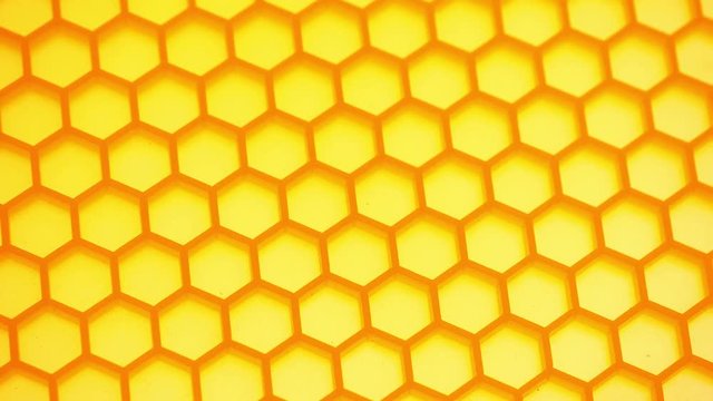 Honey comb. Fragment of honeycomb plastic imitation.
