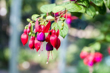 Texture and background