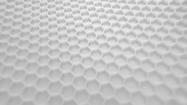 Honey comb. Fragment of honeycomb plastic imitation.