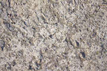 Frozen cement