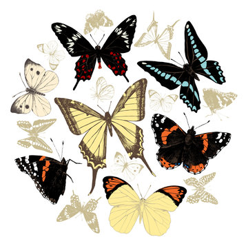 Hand drawn butterflies set. Vector illustration