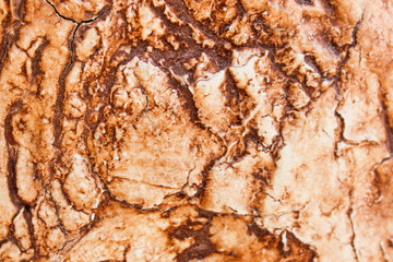 Rustic Floor Detail