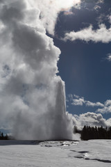 Old Faithful, The famous geyser attraction in Yellowstone known for its hot-water eruptions on a consistent schedule
