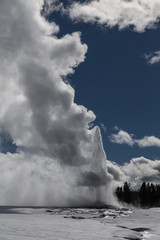 Old Faithful, The famous geyser attraction in Yellowstone known for its hot-water eruptions on a consistent schedule