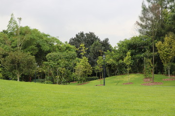 View of botanical garden Singapore