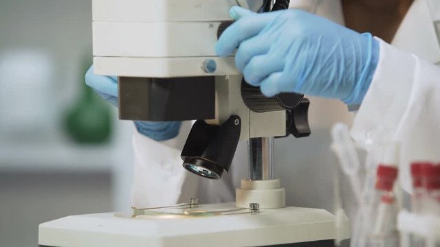 Biracial female scientist using microscope for analyzing sample, bacteriology