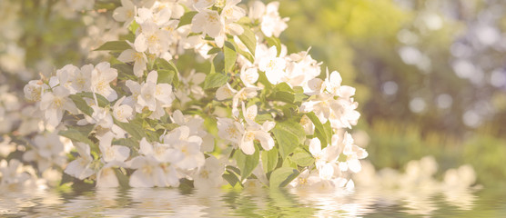 Romantische Blütendekoration am Wasser