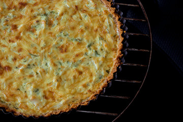 Homemade quiche with chicken, cheese and green onion and parsley on black background. Above