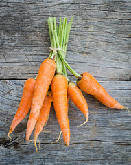 Carrot on wooden table