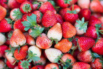 Strawberry fruit background
