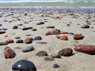 Fototapeta na wymiar Bebbles in the beach near the Baltic Sea