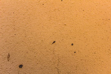 Fototapeta na wymiar 2 Concrete Background in Yellow