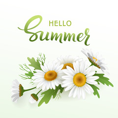 Hello Summer handmade lettering and bouquet realistic daisy, camomile flowers on white background. Vector illustration card