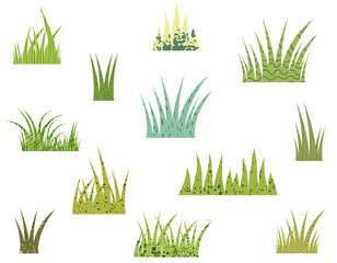 Tufts of vector stylized green grass with texture on white background