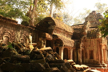 Ta Prohm Temple, Cambodia