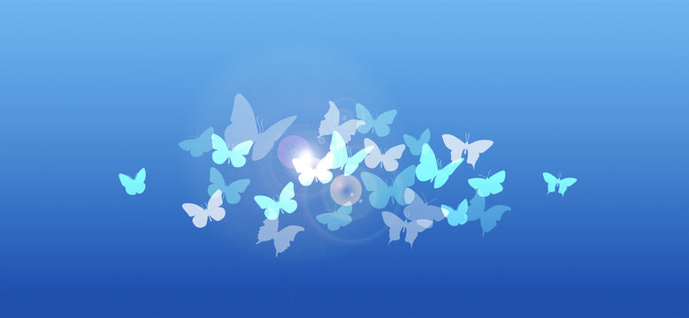 farfalle, silhouette, sagome, volare, leggerezza, volo