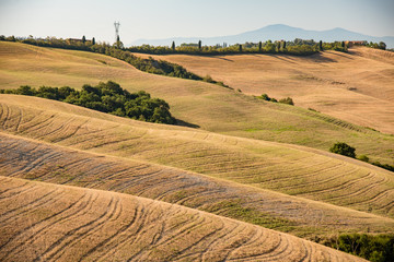 panorama of the Chianti hills in the summer in the province of siena