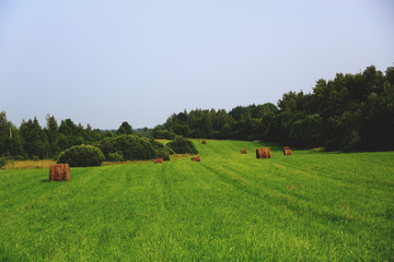 Стога сена в русском поле 