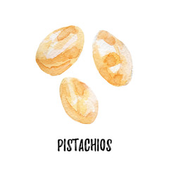 pistahios illustration. Hand drawn watercolor on white background.