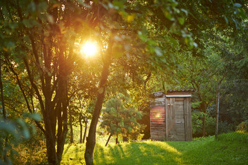 Wychodek w promieniach zachodzącego słońca © barytek