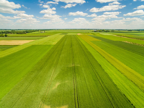 Fototapeta Krajobraz wiejski i pola widziane z lotu ptaka. Pola uprawne rozciągające się po horyzont.