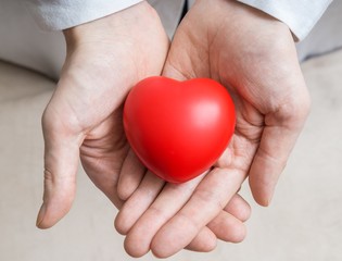 Heart transplantation concept. Doctor holds red heart in hands.