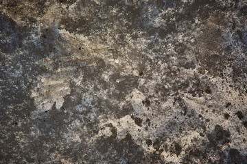 melting spring snow