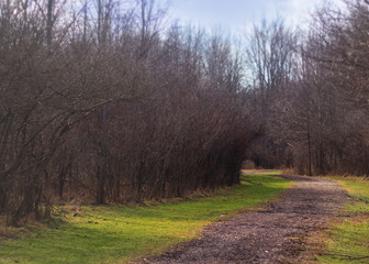 Curve in path in the woods