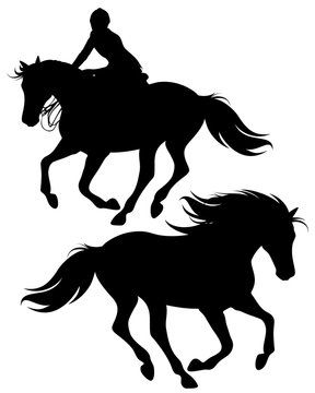 fine silhouettes of horseman riding a horse and wild stallion