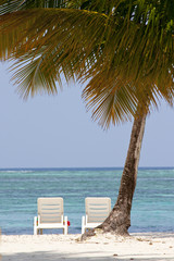 Palmen auf einer schönen Insel umgeben von Wasser