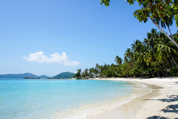 Paradise Tropical Beach