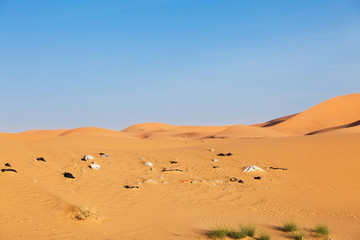 Fototapeta na wymiar pollution et déchets dans le désert de sable 