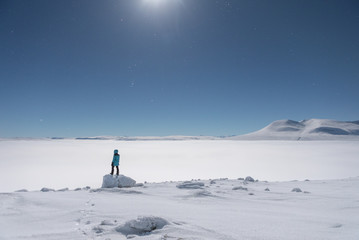 Person looks at moonlit arctic landscape 