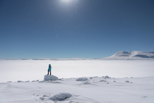 Person looks at moonlit arctic landscape 
