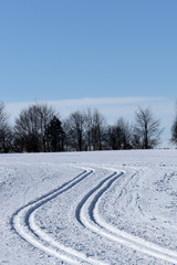 Fototapeta na wymiar Wintersport Skilanglauf