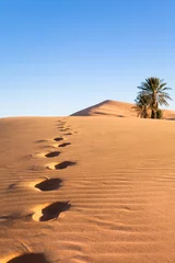 Foto auf Acrylglas palmiers dans le désert et empreintes de pas © plprod