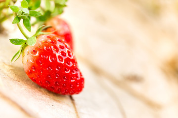 fresh strawberry in farm, close up