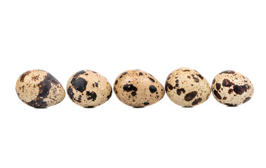 Row of five raw quail eggs on a white background