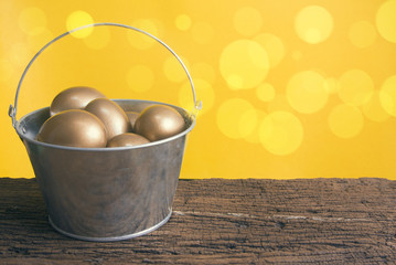 gold eggs in the steel bucket
