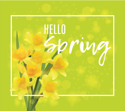Flower of a daffodil with text. Hello spring. Bright yellow banner with bokeh. Vector flower.