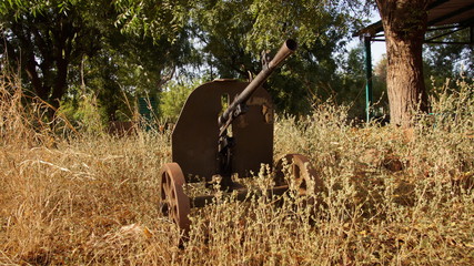 Obraz premium old Weapen