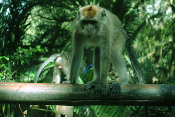 traveling is always fun.