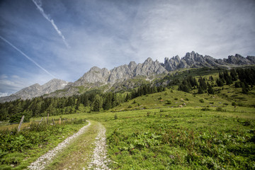 Alpine Landscape at Muehlbach am Hochkoenig in Summer