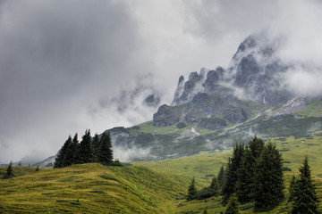 Alpine Landscape at Muehlbach am Hochkoenig in Summer