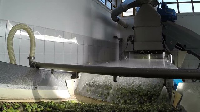 The process of olive washing in a modern oil mill